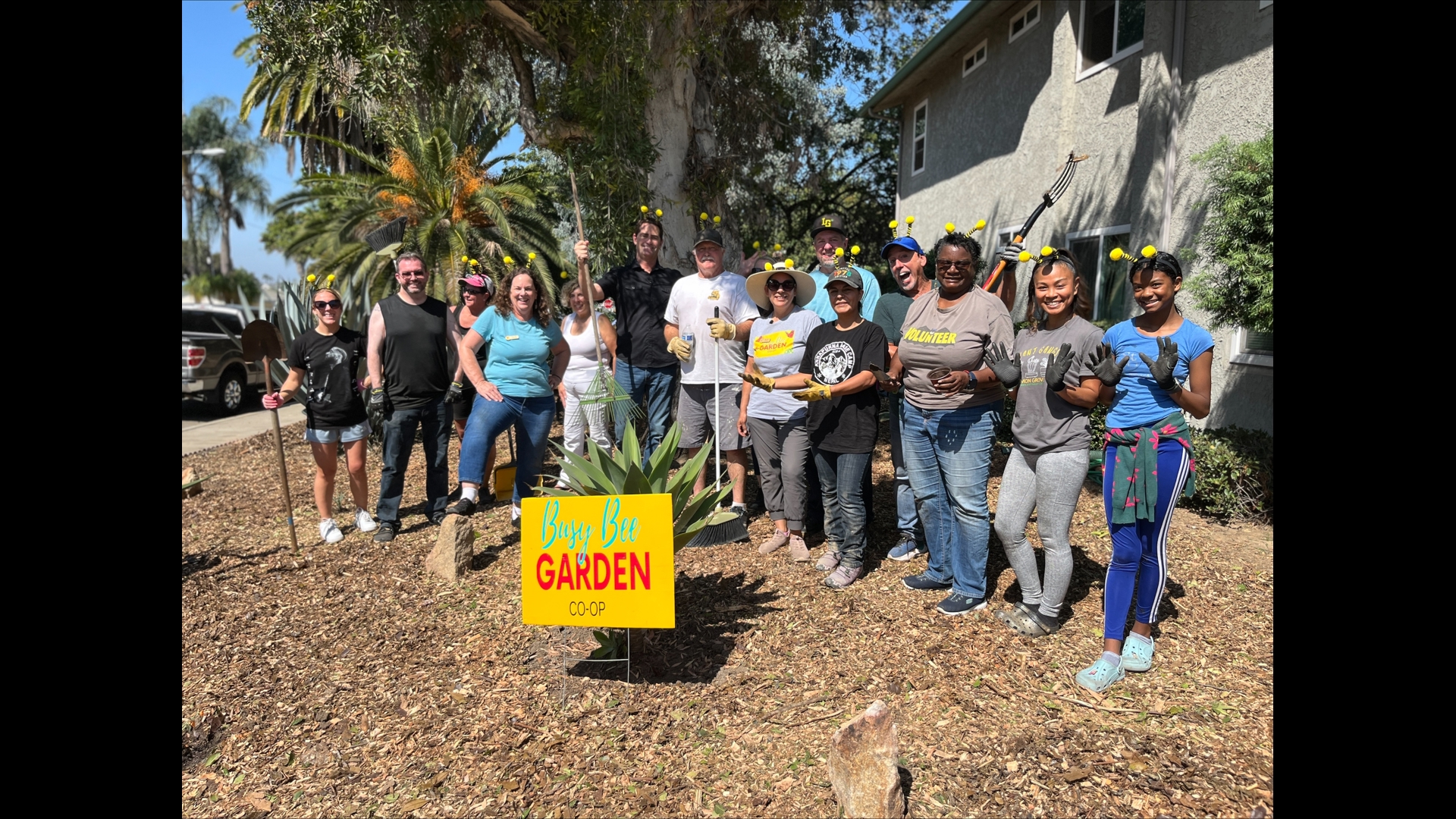 The Busy Bee Garden Co-Op offers free yard upgrades with native plants.