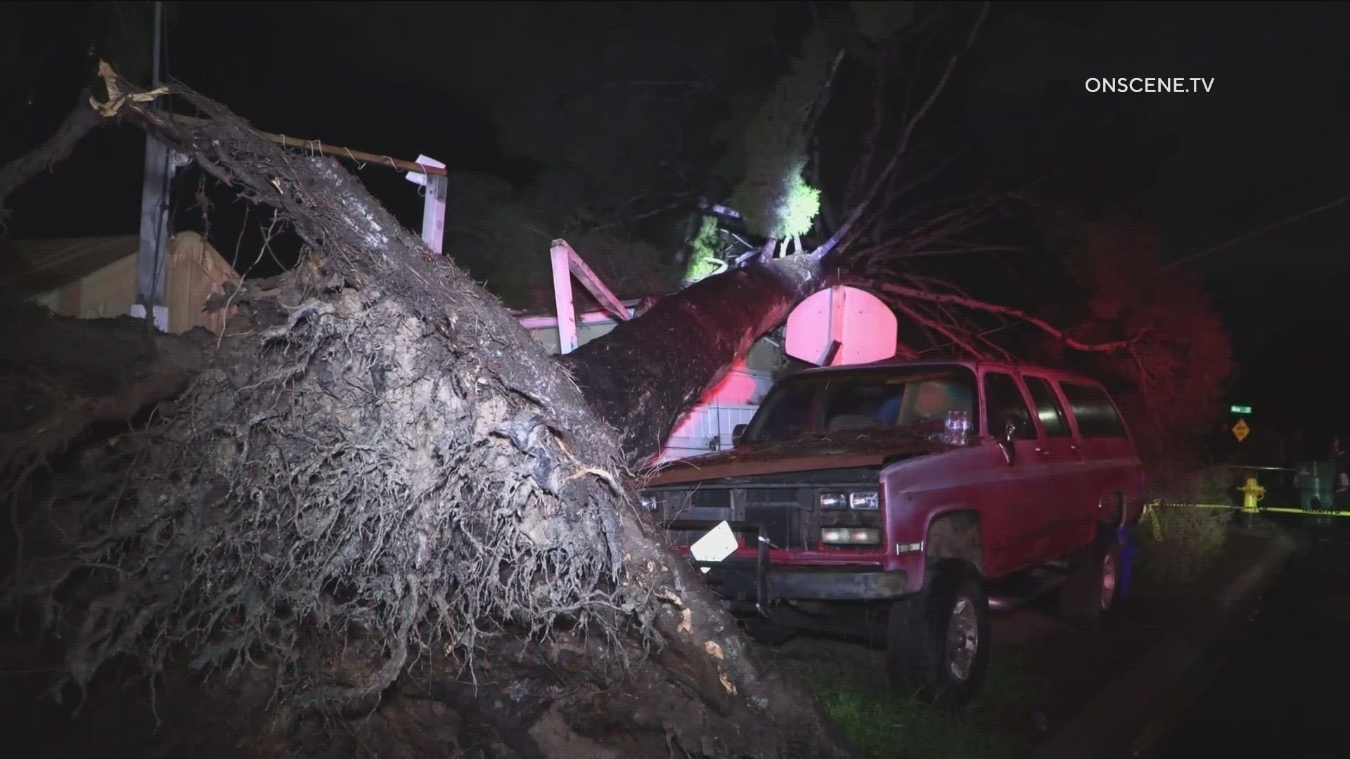 The tree fell shortly before 3:30 AM Friday morning in North Park. Fortunately, no one was harmed.