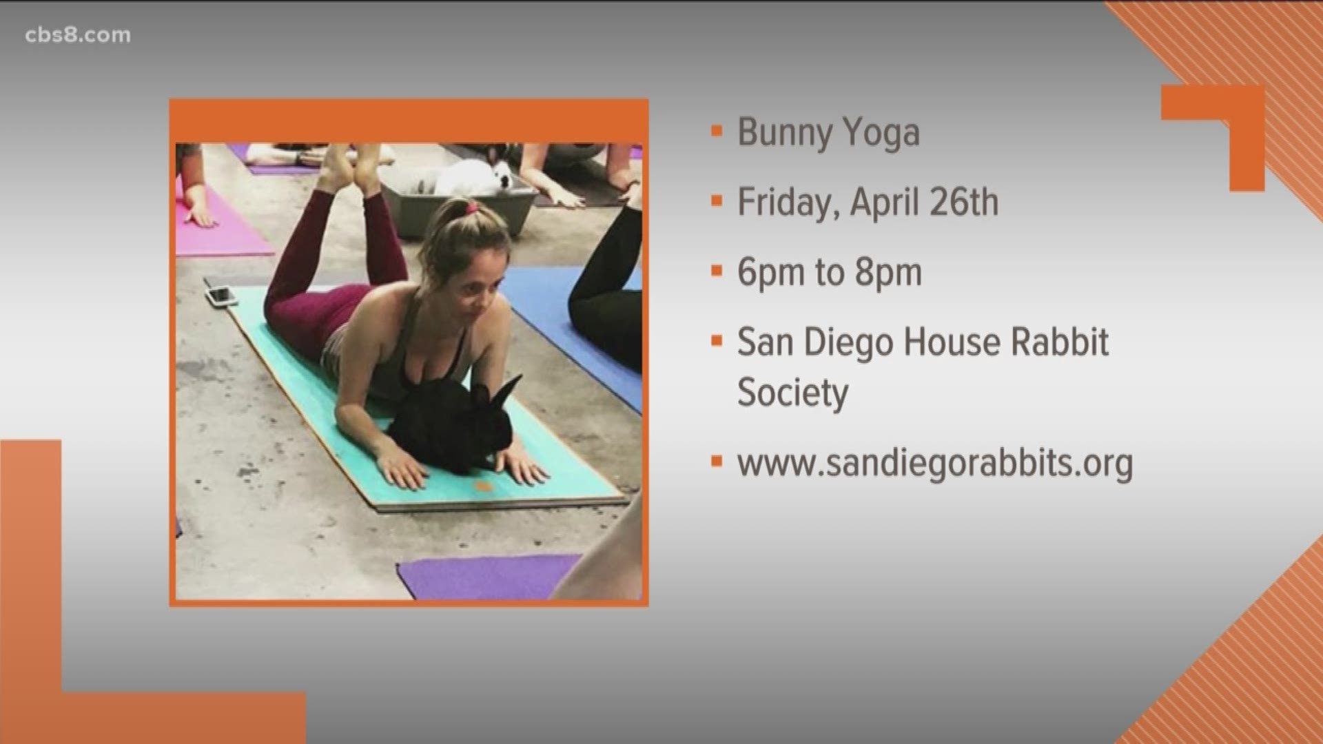 Join this fun FRIENDRAISER, Yoga with Bunnies!