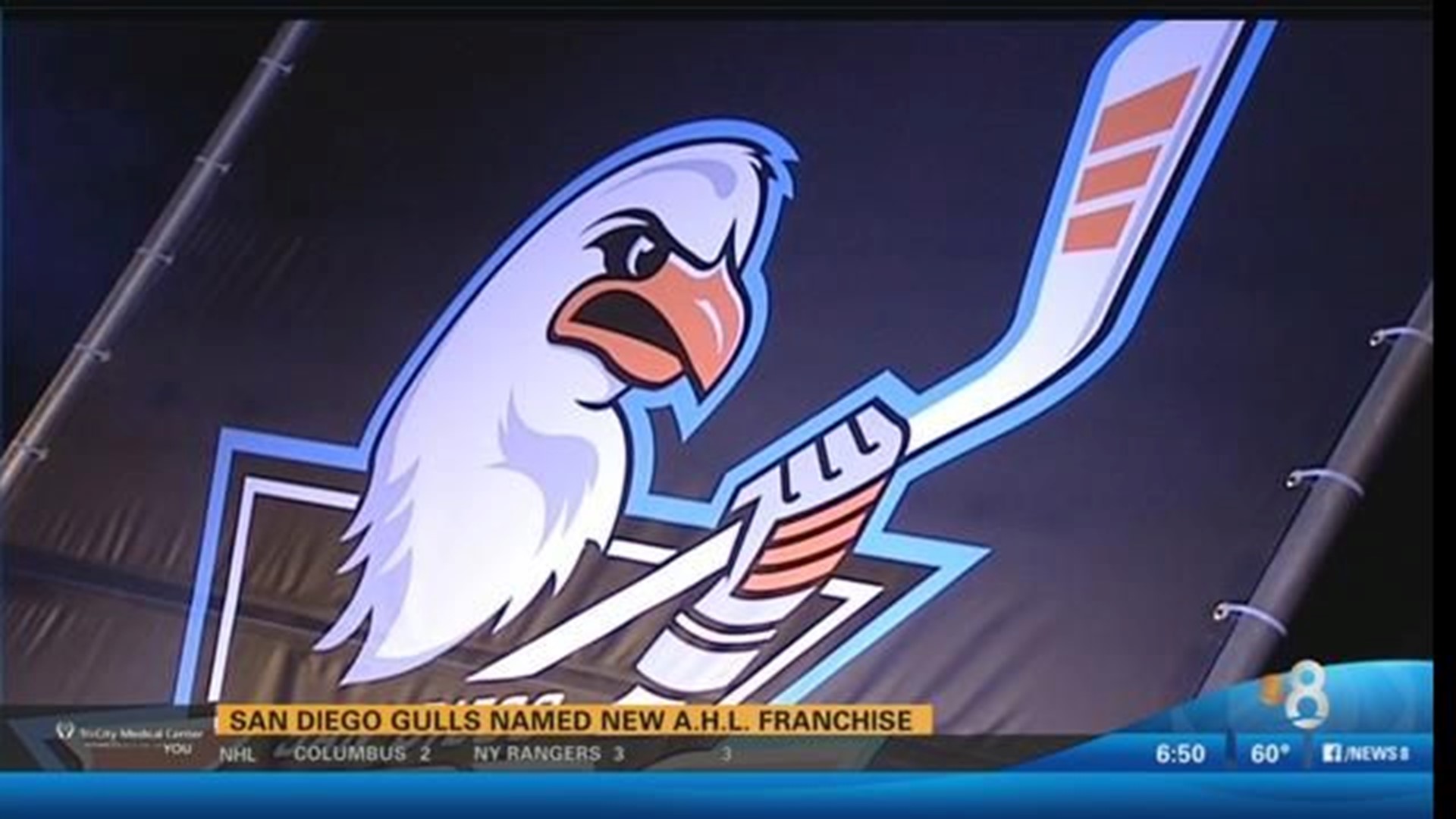 Gulls Hockey Is Back! 