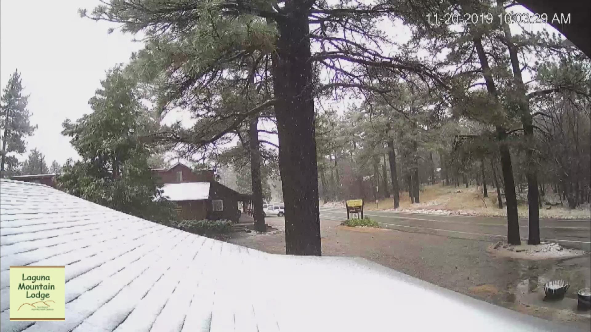 The storm also brought snow to the mountains at Laguna Mountain Lodge.