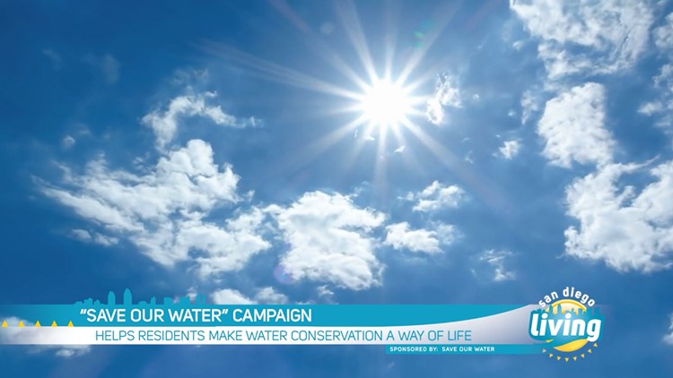 Every Drop Counts: Make Water Conservation a Way of Life