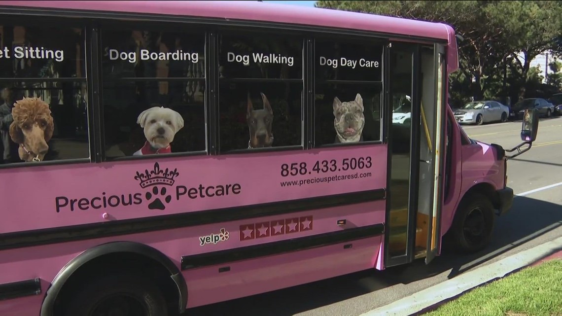 Pink party bus cruises through San Diego offering door-to-door doggy service