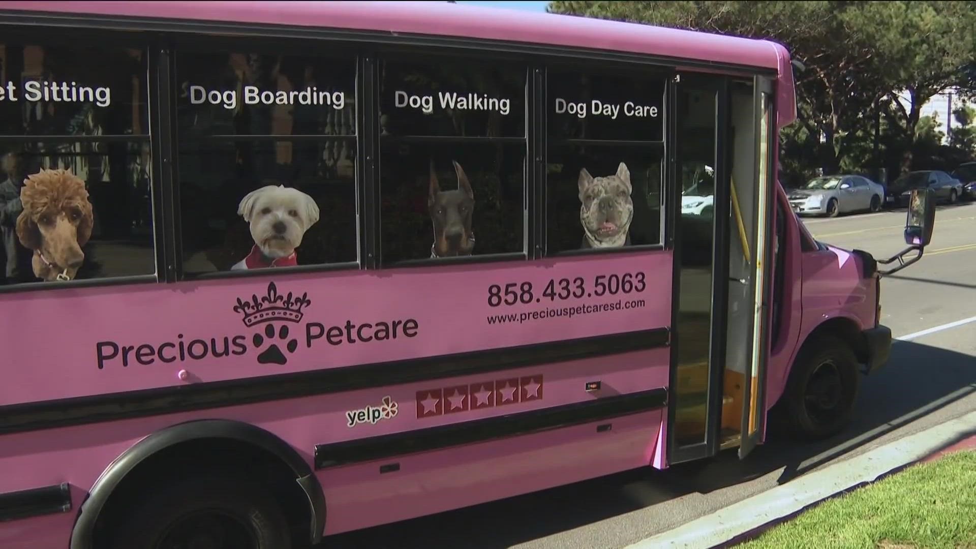 Instead of leaving your dog at home all day while you go to work, you might consider sending your pet on a pink party bus with Precious Petcare San Diego.