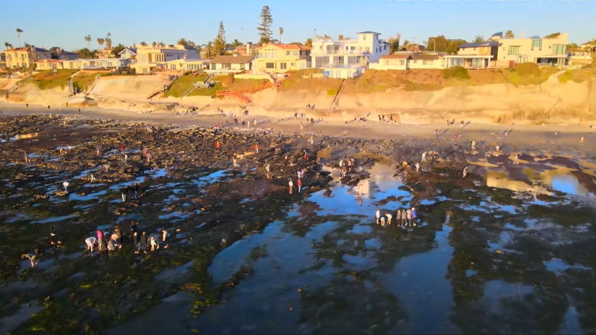 Here are CBS 8 drone views above Terramar Beach in Carlsbad