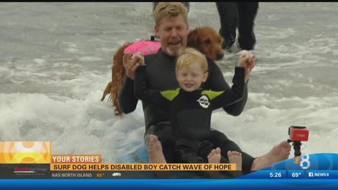 Surf dog helps disabled boy catch wave of hope | cbs8.com