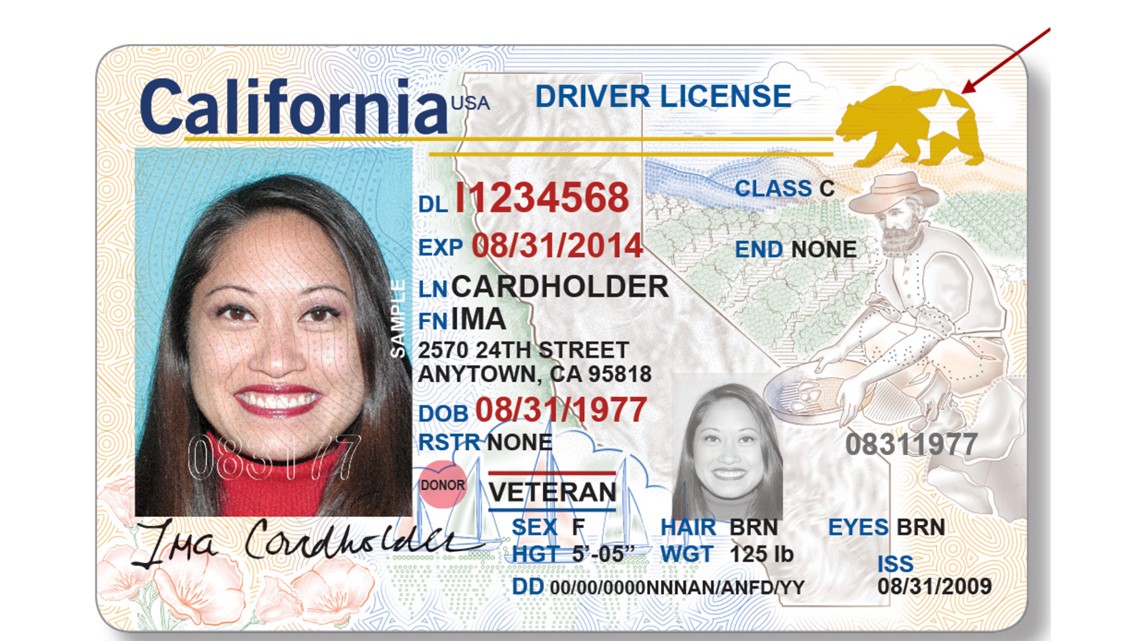 TSA Confused As We Are? REAL ID & Enhanced Driver Licenses