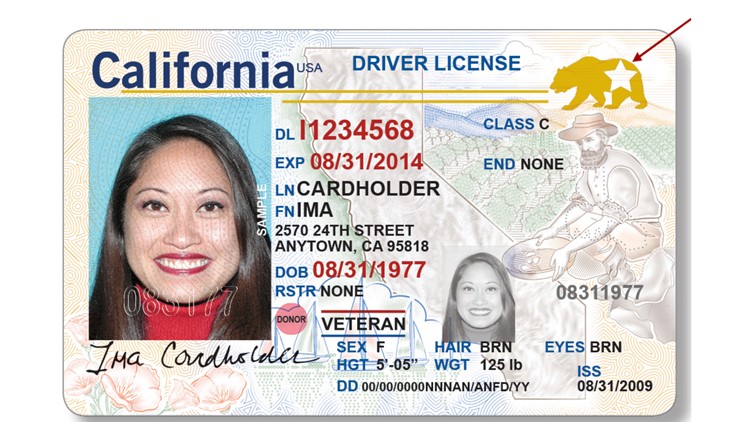 TSA Deadline: 62% Of Americans Have Exactly One Year To Get A Driver's  License With A Star On It