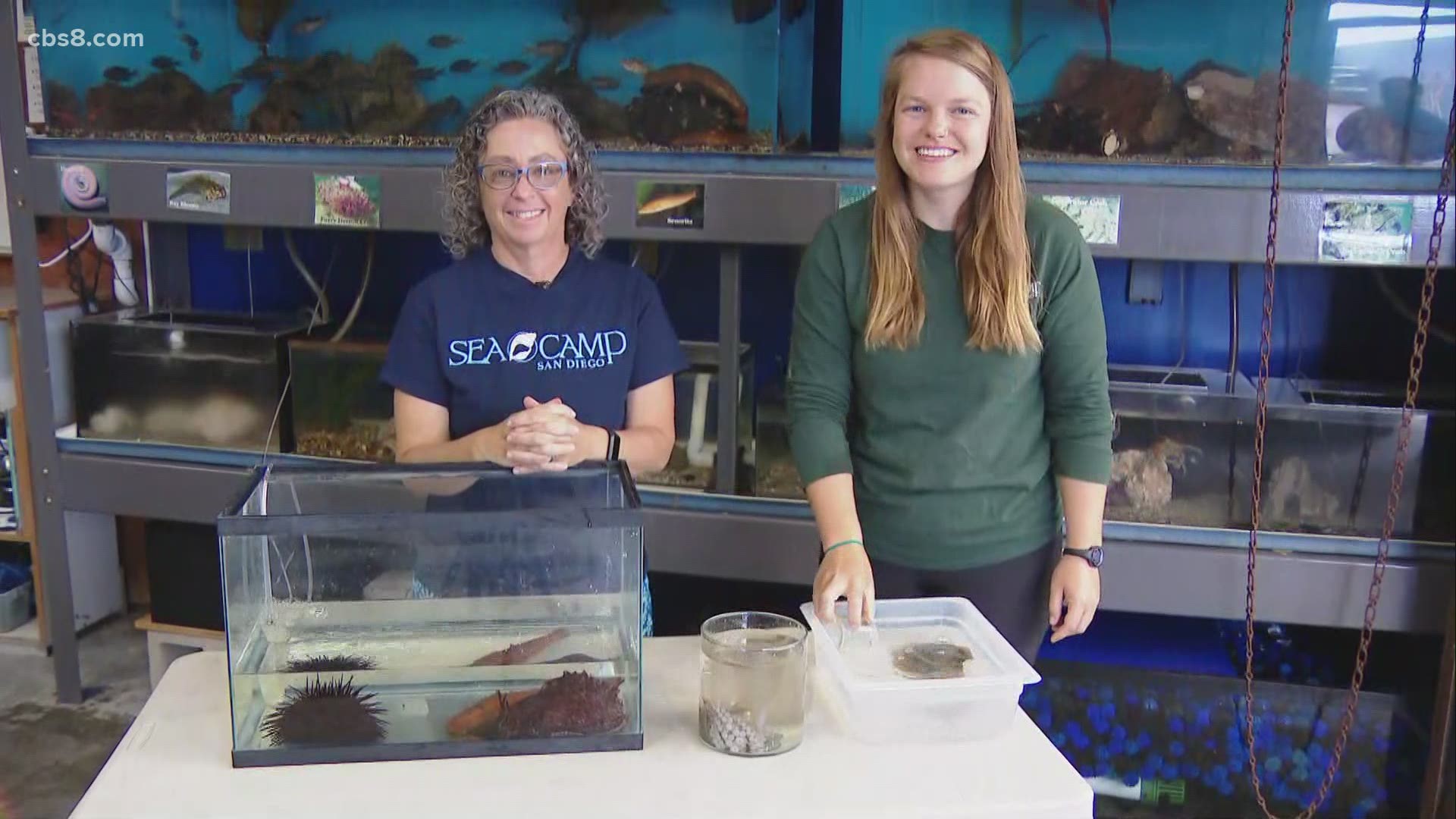 Amy Zerofski and Laura joined Morning Extra to show off some cool animals and to talk about the many different camp opportunities that are offered.