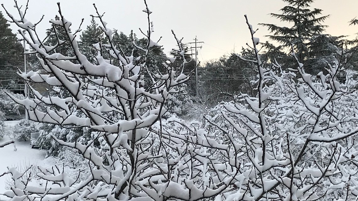 Virtually watch the snow in Julian, CA