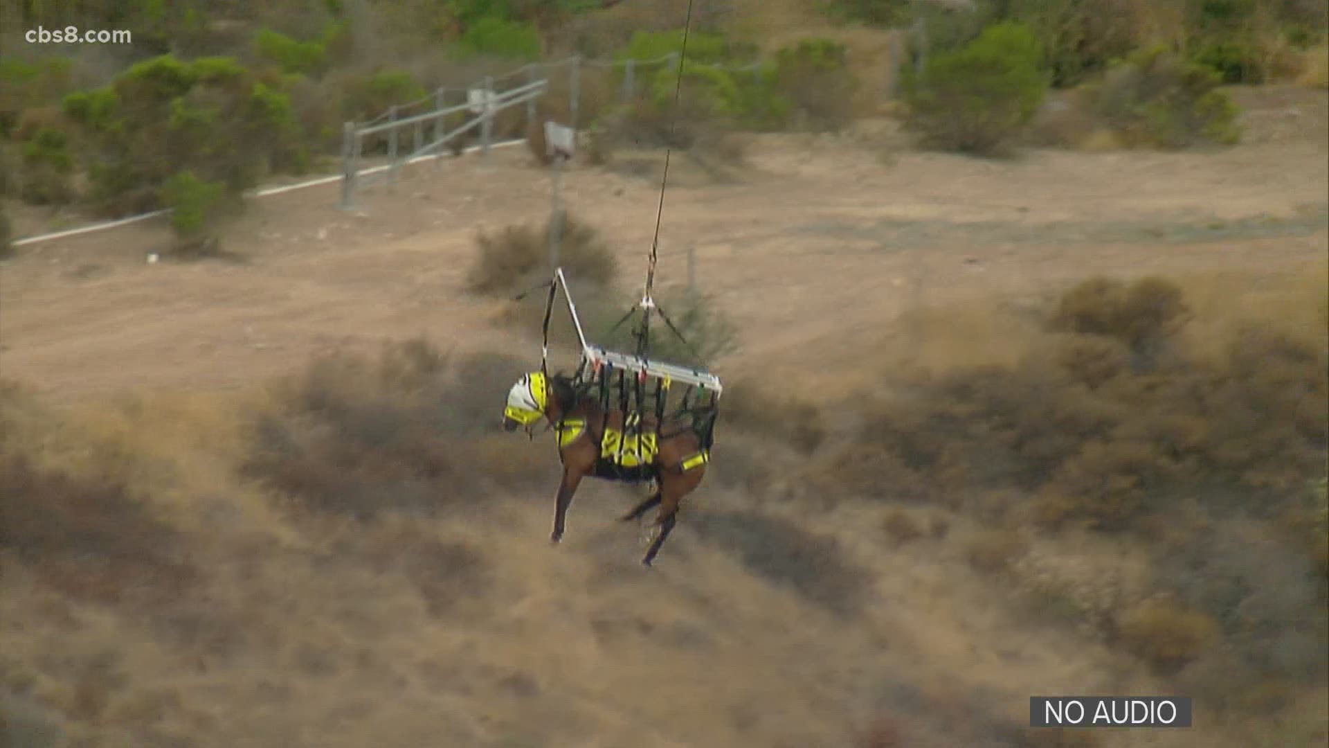 Firefighters and veterinarians are working to rescue a horse and rider who fell off a steep trail down an embankment