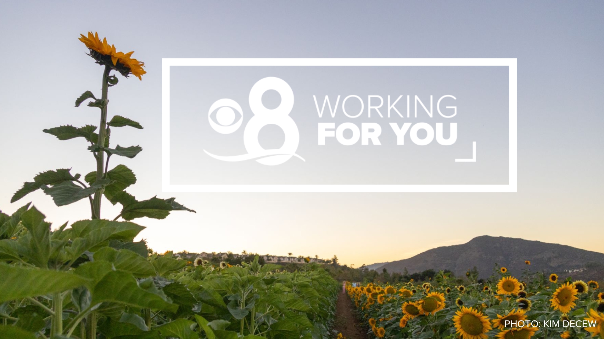 At CBS 8, we are always Working for You and our community. This is a station promise that we will go the extra mile to try and solve a problem our audience can’t.