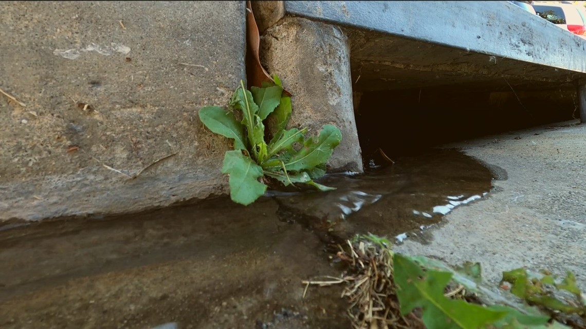 How to stop water runoff in your yard - Vimarsana News