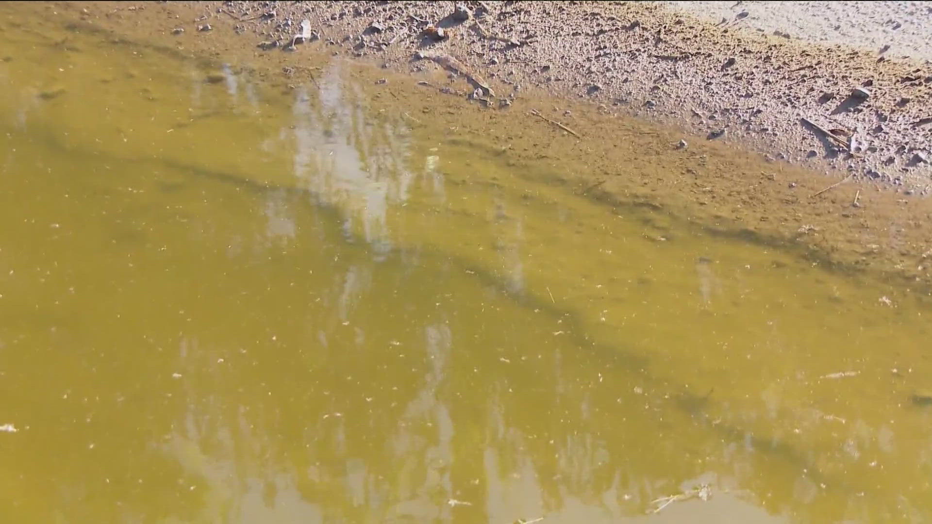 The latest federal survey on the Tijuana River sewage crisis showed that community members had to change their lifestyles because of it.