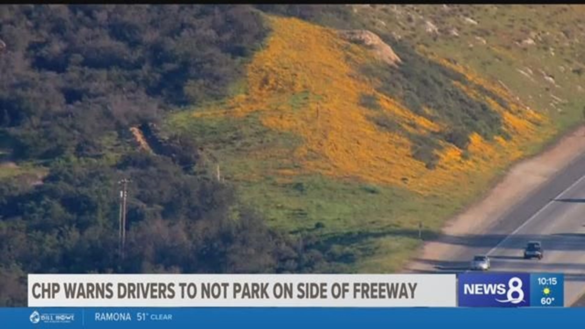 Lake Elsinore closes popular wildflower viewing area in Walker Canyon –  Press Enterprise