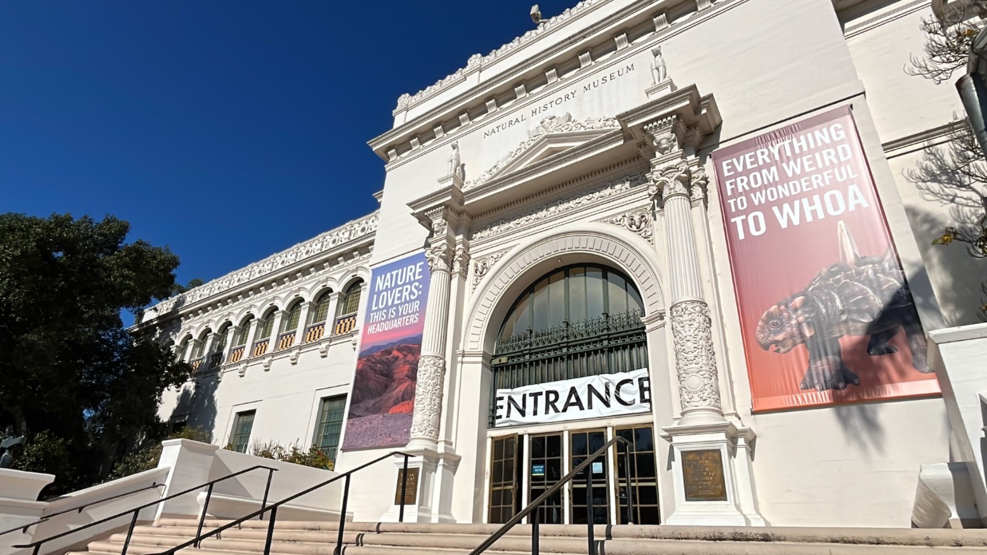 An anonymous donor will bring the joy of learning to tens of thousands of underserved children. In this Zevely Zone, I went to the San Diego Natural History Museum.