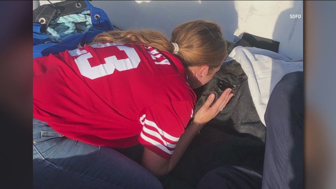 San Diego lifeguards rescue black lab swept out to sea at Dog Beach ...