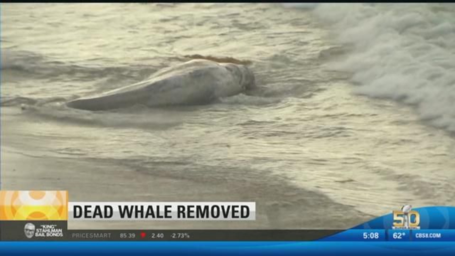 Crews remove dead whale from Solana Beach