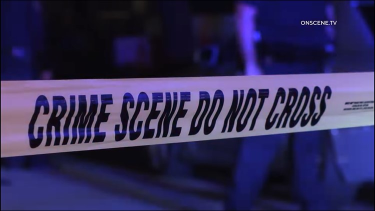 Arrests made in double-murder of two National City teenagers