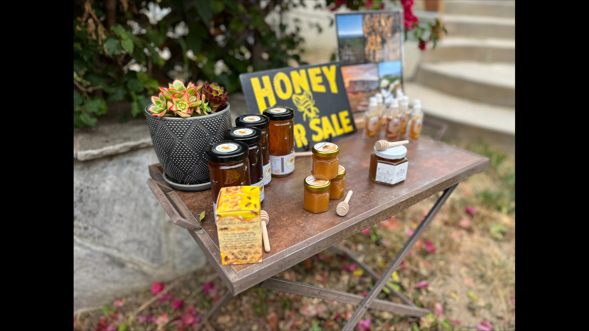 There's a lot of buzz at Beeside Balcony | cbs8.com