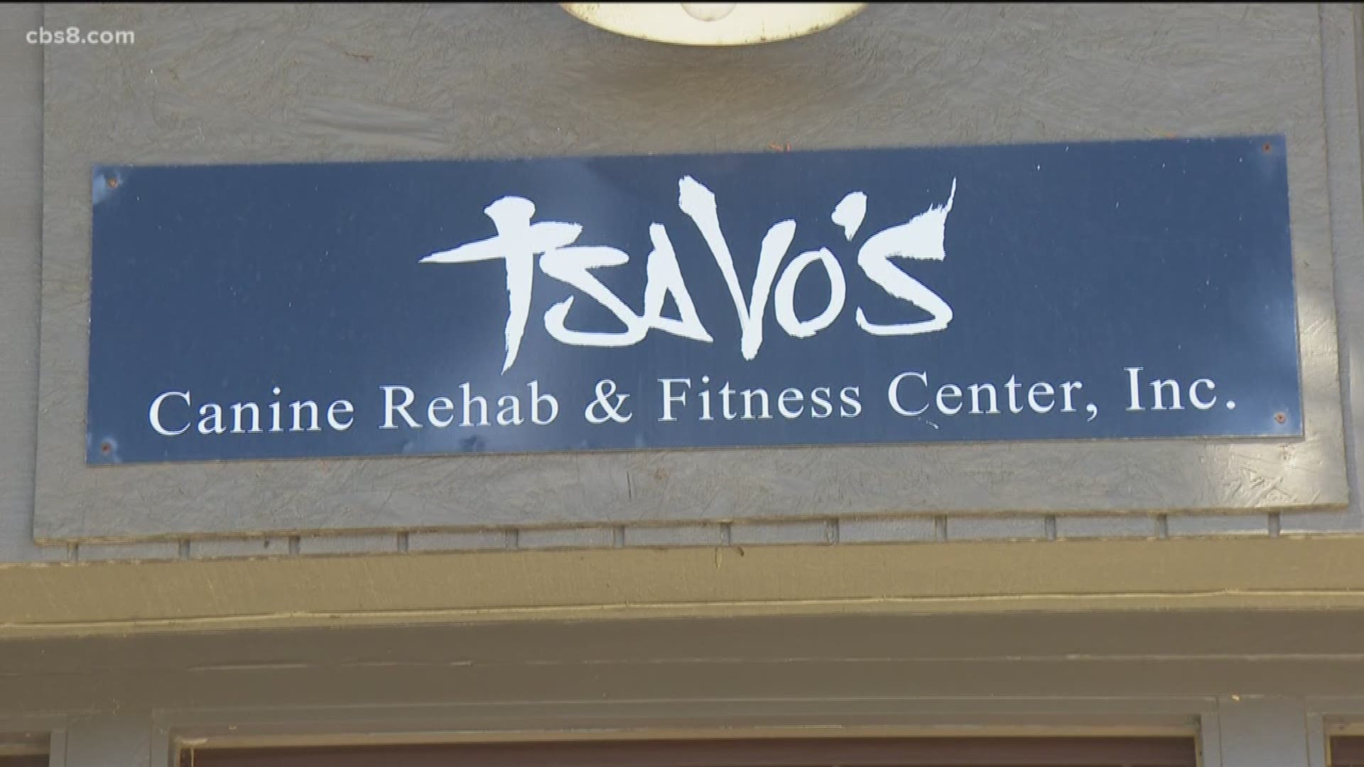 Dog rescue groups' medical care can be costly and now Tasvo’s Canine Rehabilitation and Fitness Center is expanding its campus to help canine rescue organizations.