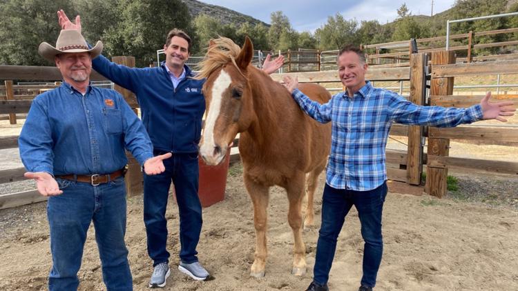 Daniel Halliday Ranch Surprise! A $2-million horse ranch is all yours, San Diego | cbs8.com