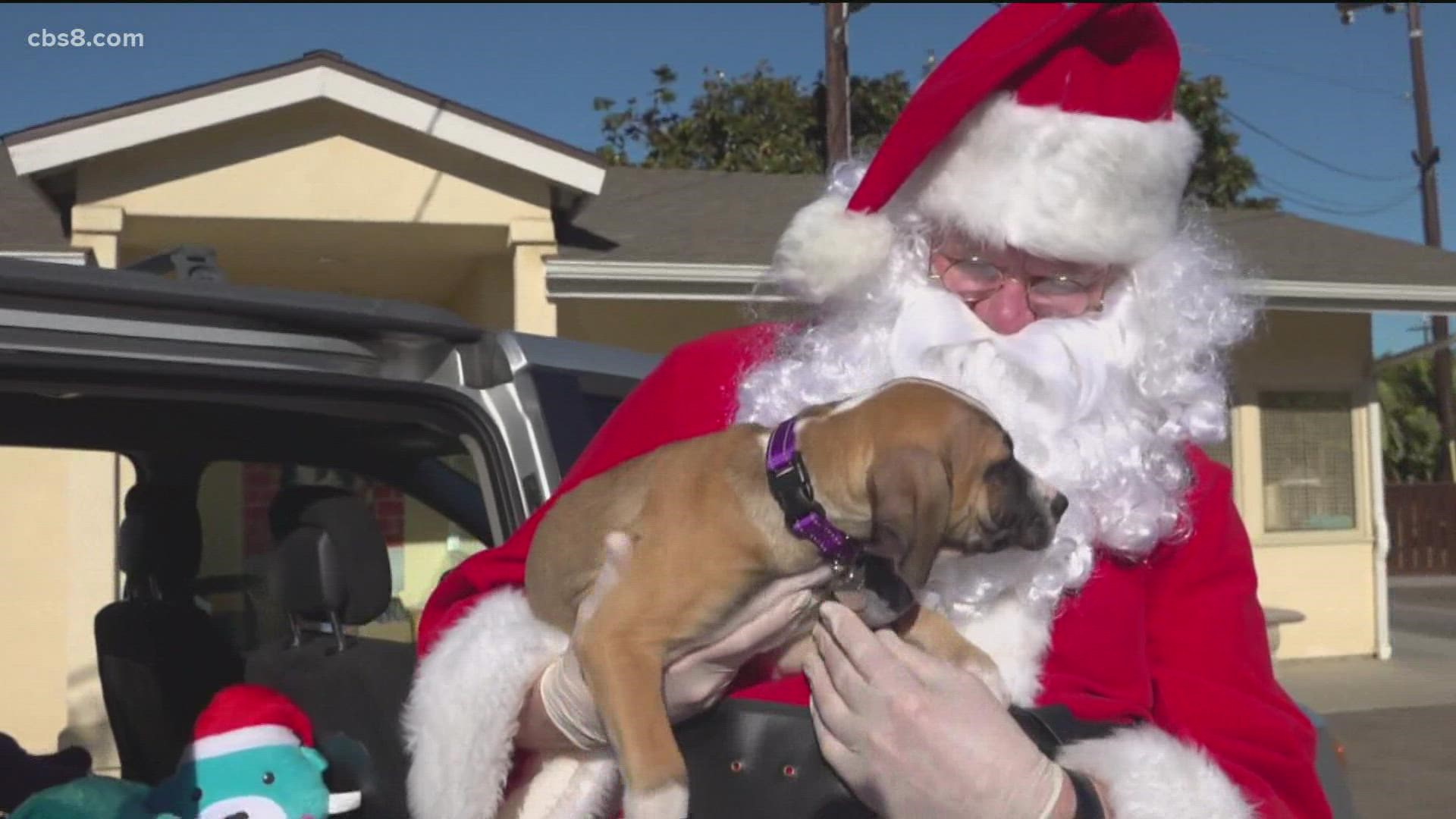 Last Christmas, Rancho Coastal Humane Society’s Santa Paws and his helpers delivered a puppy named Dylan to the Selistch family in San Marcos.