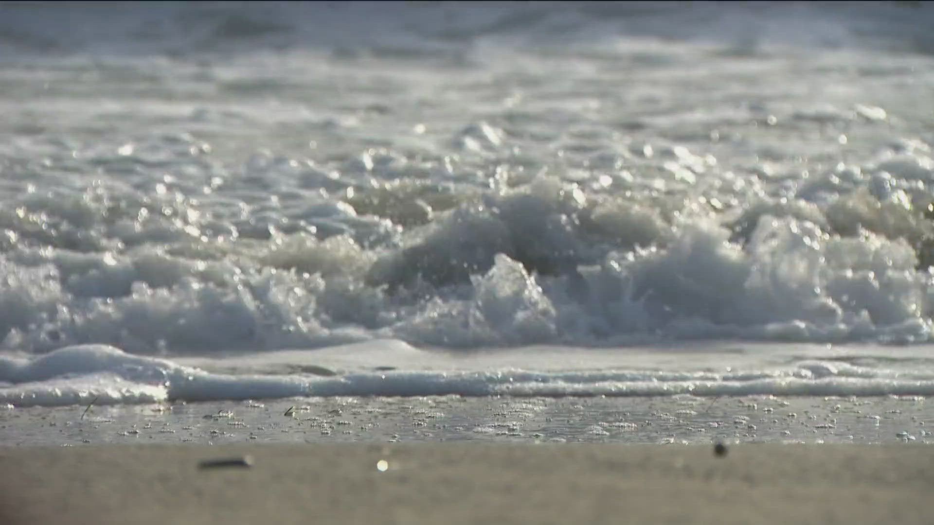 A non-profit environmental group ranked West Coast beaches, including beaches in San Diego, based on water quality. 