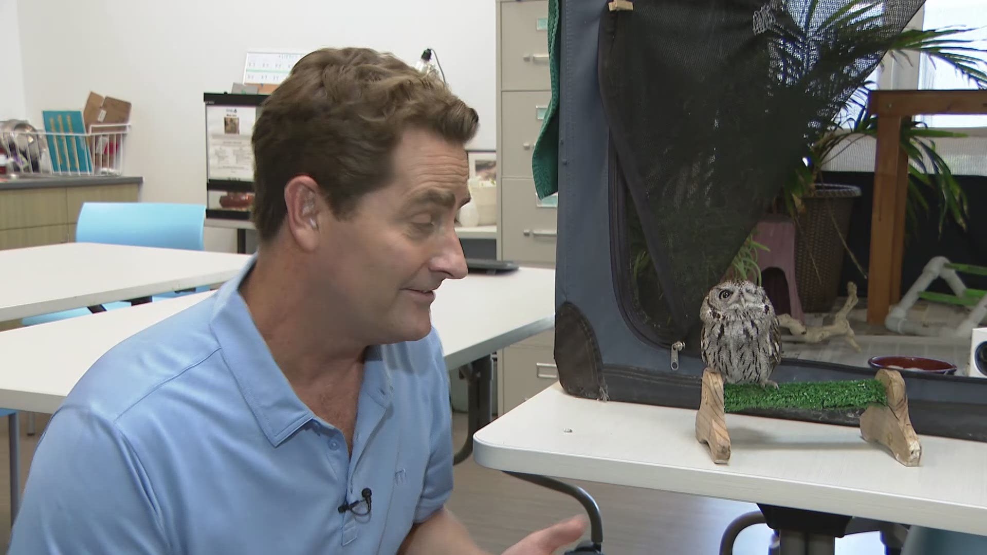 Humane Society's 'Project Wildlife' offers some tips to the public.