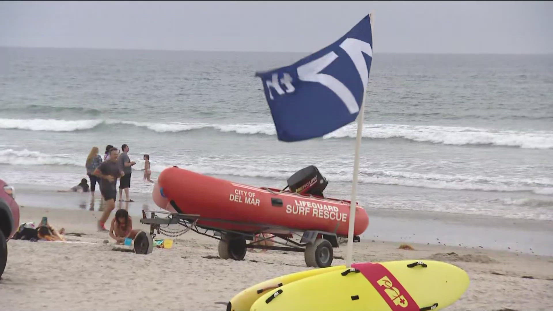 Shark Lab at Cal State Long Beach estimates the shark was 9 feet long, approximately 6-7 years old.