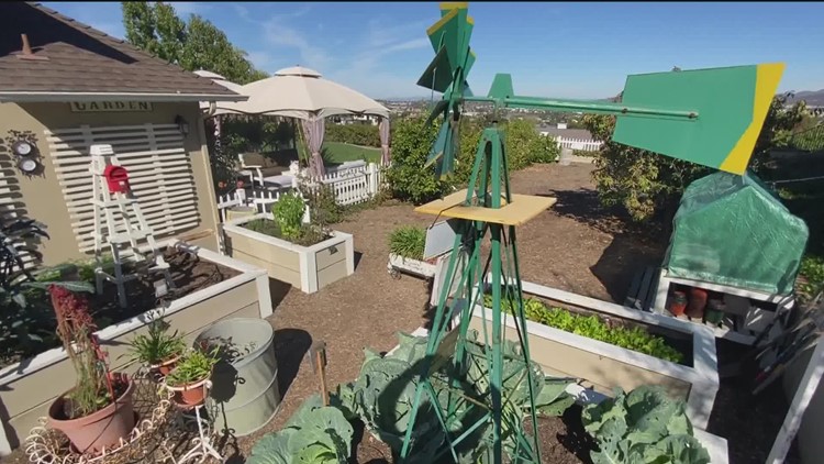 Organic gardeners help neighbors find 'Common Ground'