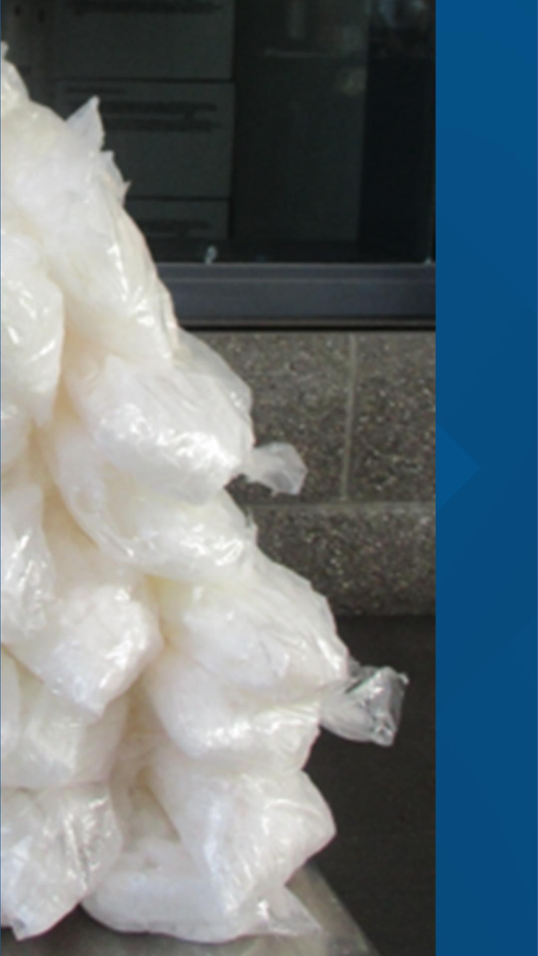 Border Patrol seizes nearly $2.8M of fentanyl, meth at San Ysidro Port ...