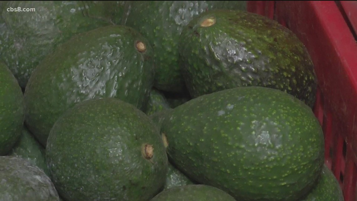 Mexico says conspiracy behind avocado ban; US cites violence