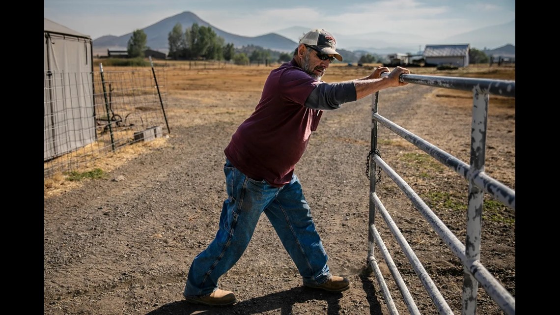 California ranchers face fines for violating state water order - Vimarsana News