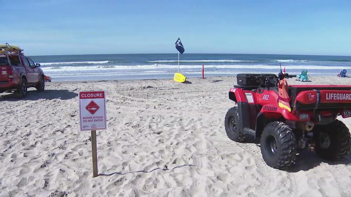 Del Mar shark attack prompts beach closure at 17th Street | cbs8.com