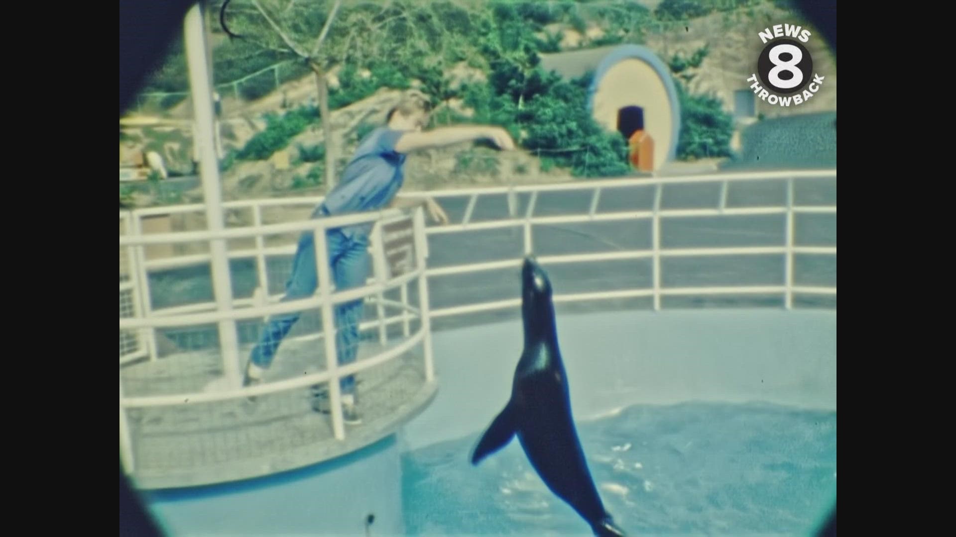 Newly uncovered film of the brand new Los Angeles Zoo in 1966