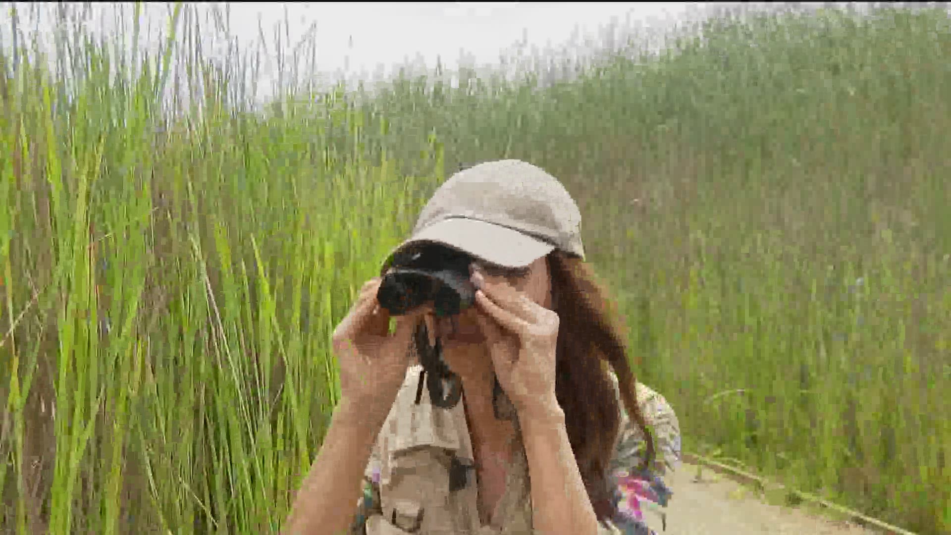 Bird watching is a great activity to do during COVID. It's easy to keep your safe social distancing outside.