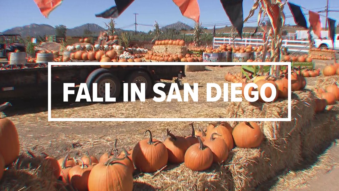 Fall in San Diego | Food, fun, festivals will have you feeling the season