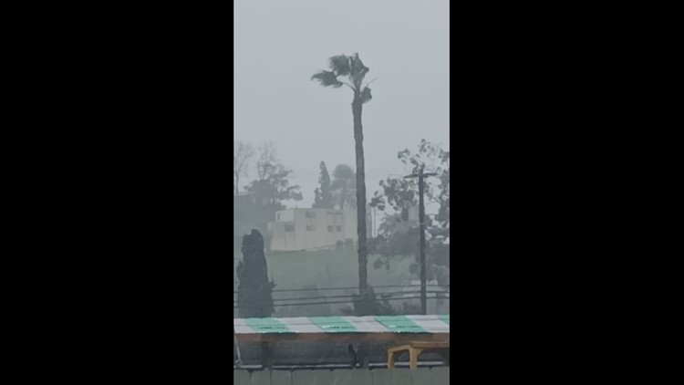 11:30 a.m. in El Cajon. Pouring rain took palm frawns off tree across the way. Our wind chimes let you know how much wind is blowing