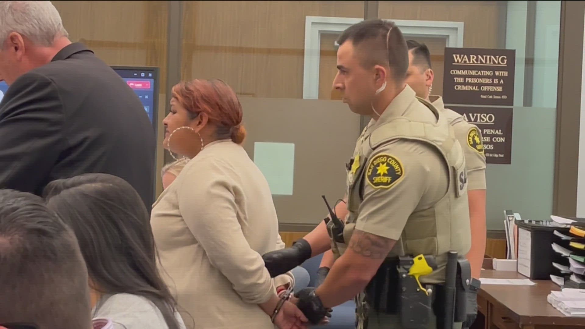Mother of 2 children hit and killed on SR-78 freeway back in jail ...