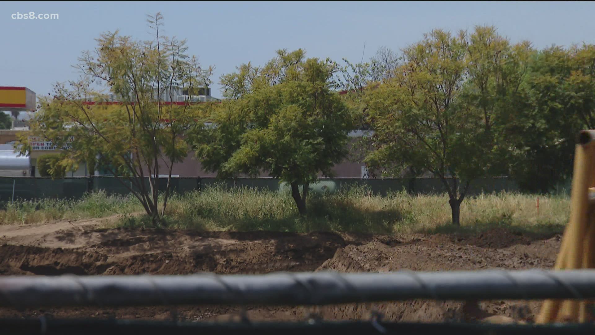 20 trees are set to be cut down to make room for a new San Diego County library.