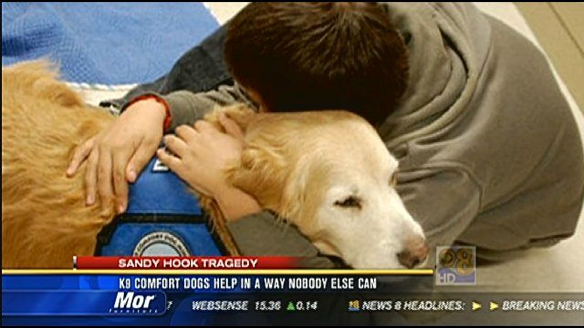 K9 comfort dogs help in a way nobody else can