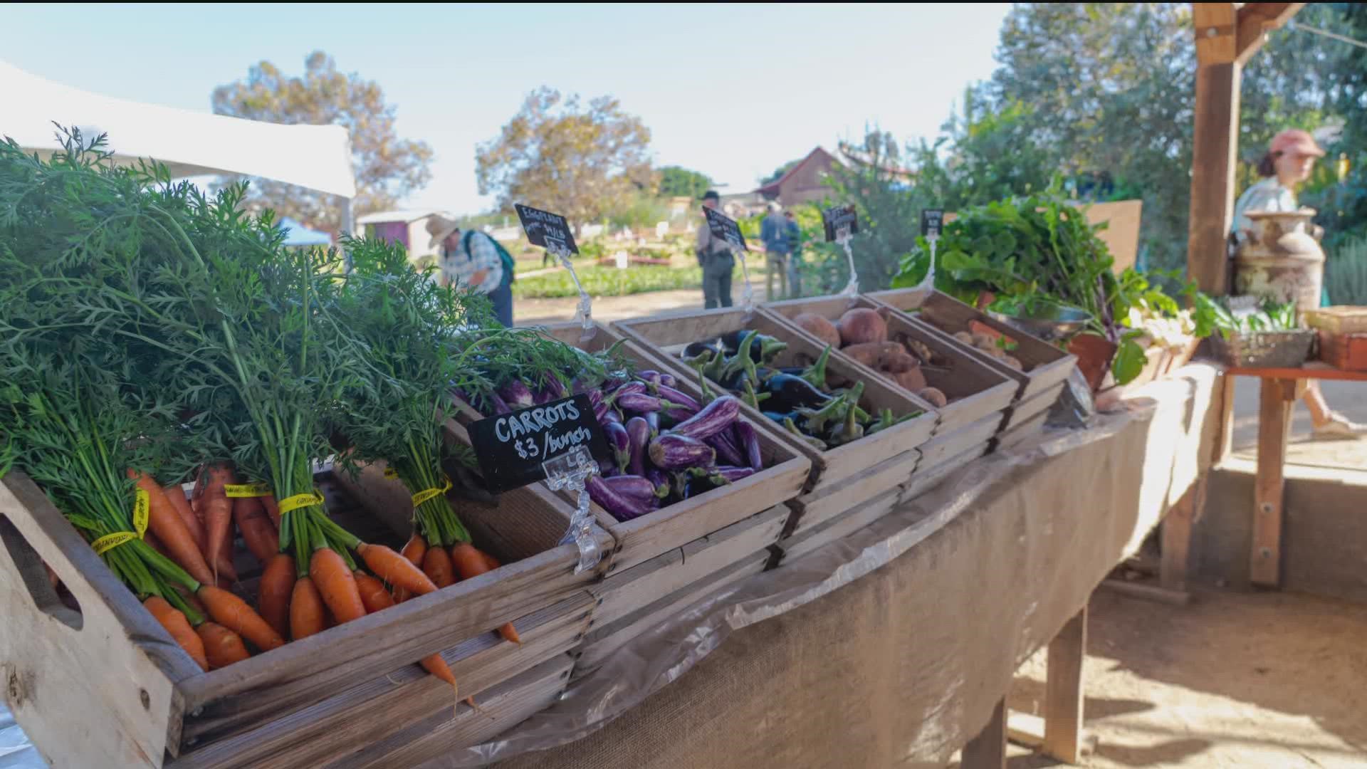 Coastal Roots Farm is on a mission to help create a healthy and connected community. The farm is also participating in Giving Tuesday.