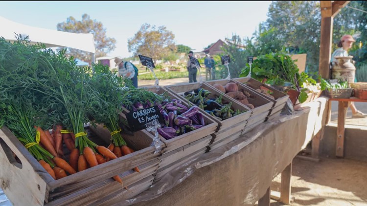 Coastal Roots Farm in Encinitas supports those experiencing food insecurity | How you can help on Giving Tuesday