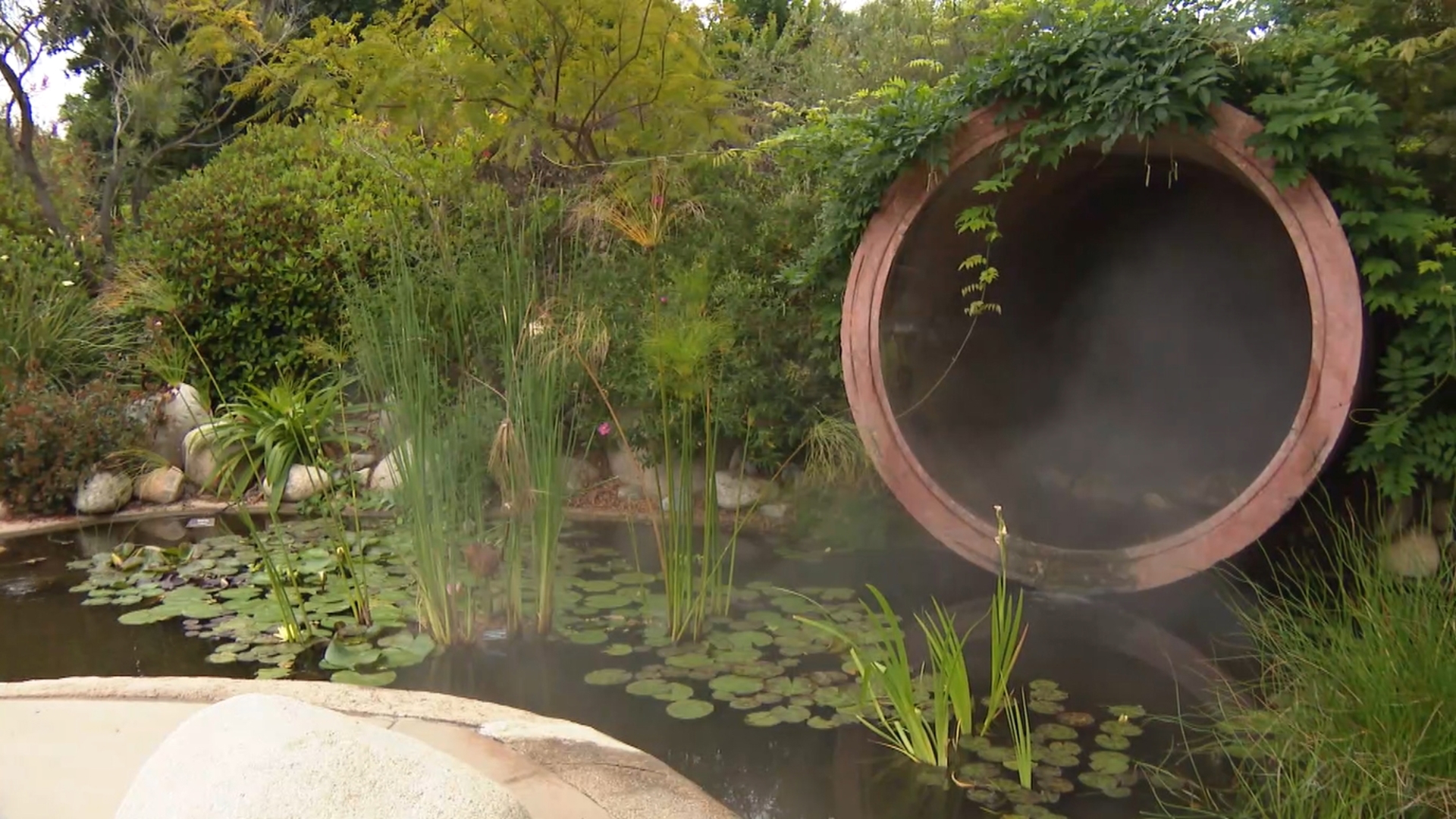 The Conservation Garden is one of the greatest hidden gems in East County. And this isn't just any public garden, it is a learning laboratory for the community.