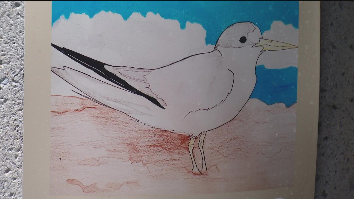 PB teen's plan to reduce littering takes flight with bird art - Vimarsana News