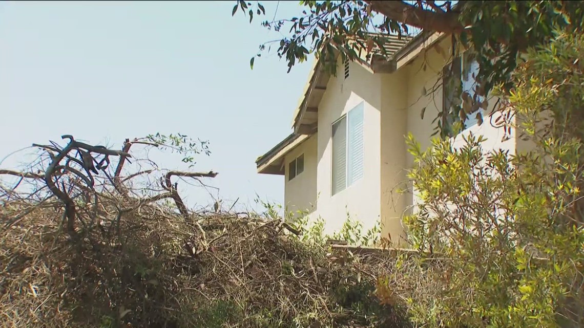 Homeowner raises fire risk concerns with overgrown brush in Chula Vista