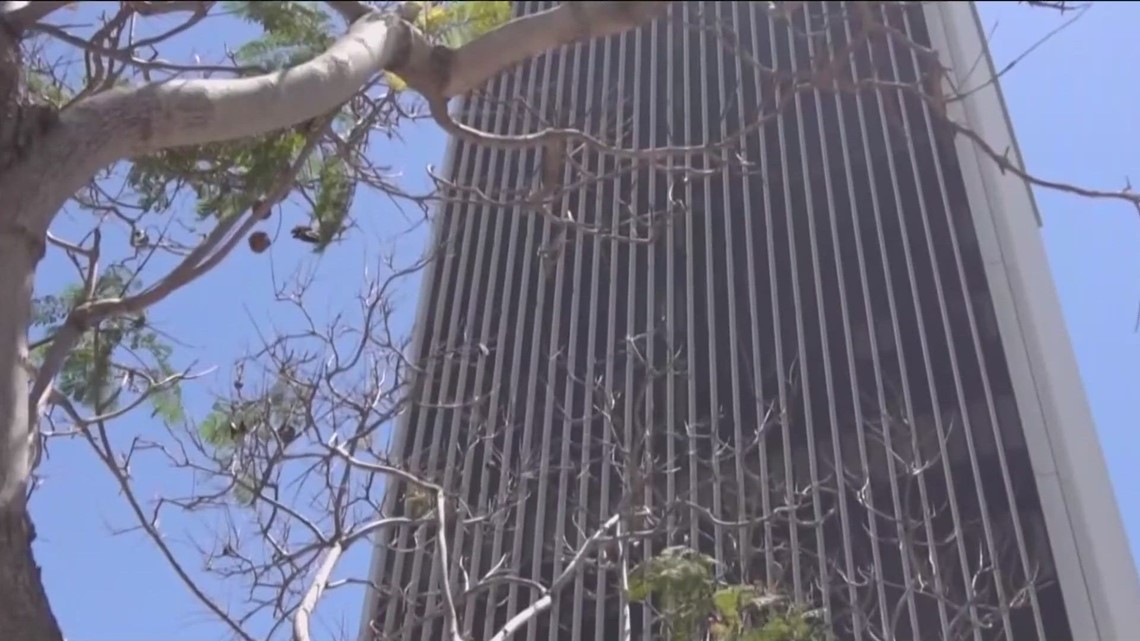 Real estate broker at center of 101 Ash Street deal pleads guilty in