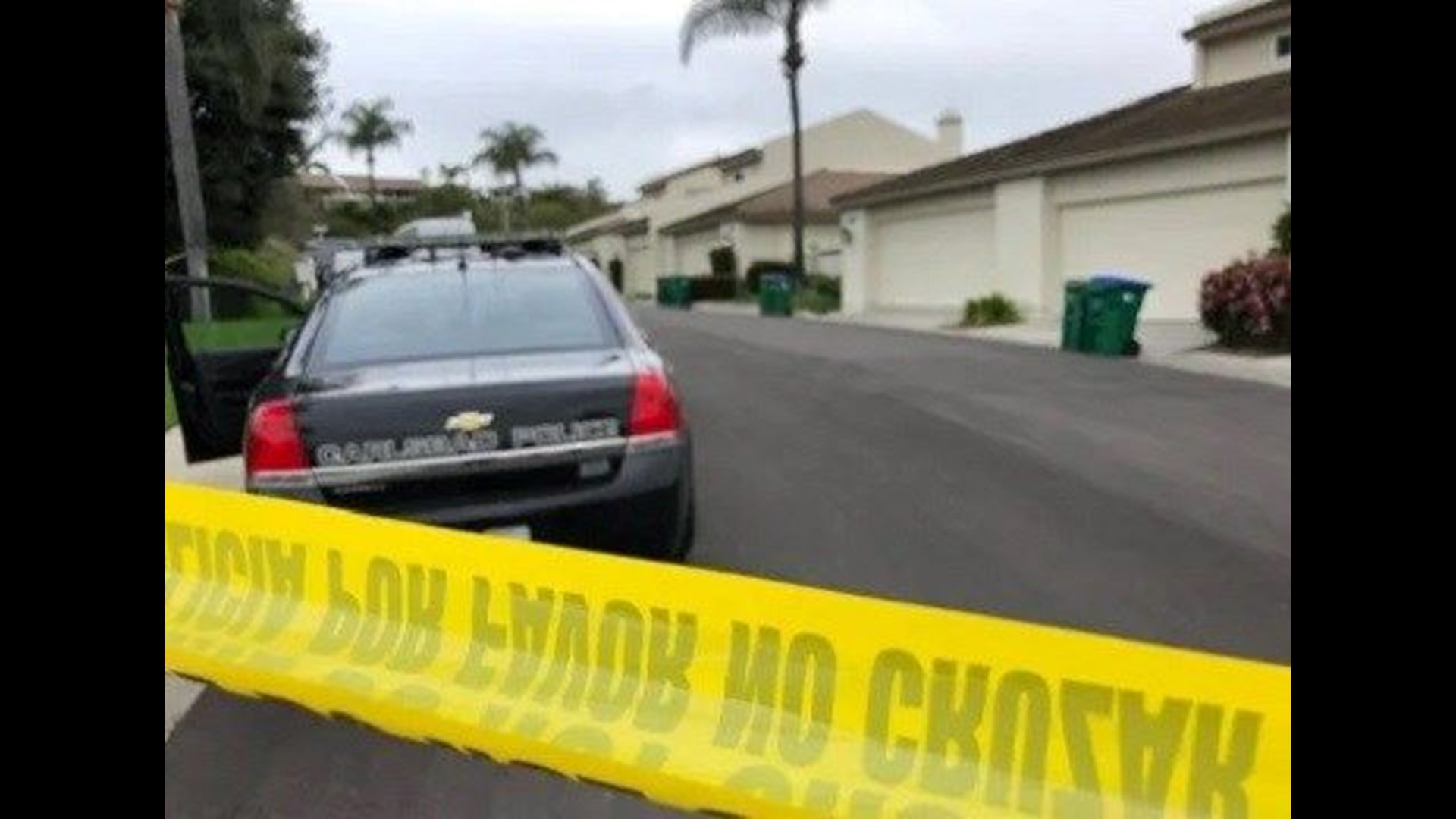 Man and woman accused in stabbing death of Carlsbad woman plead not ...