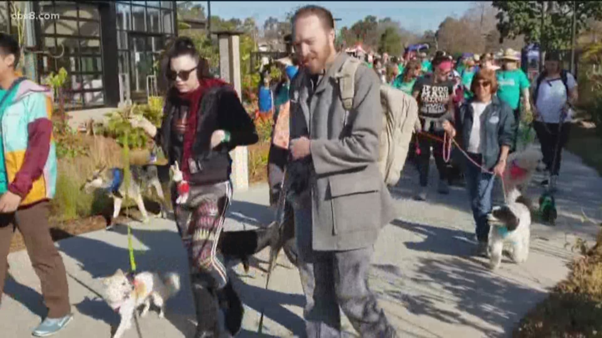 Walk in San Diego Botanic Garden to benefit Rancho Coastal Humane Society